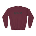 Youth Crewneck Sweatshirt with Cool Graphic Design